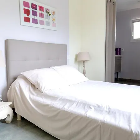 Spacieuse A Avec Piscine Privee Et Jacuzzi *